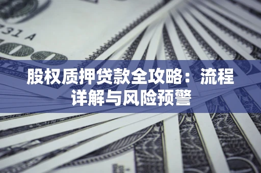 北京股权质押贷款全攻略：流程详解与风险预警