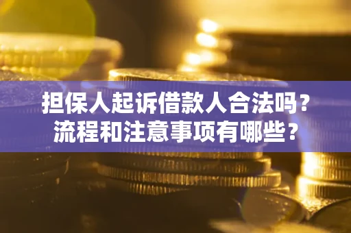 北京担保人起诉借款人合法吗？流程和注意事项有哪些？