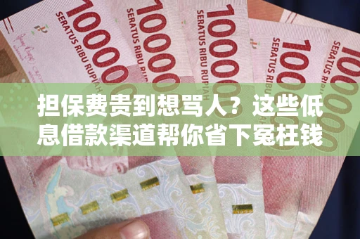 北京担保费贵到想骂人？这些低息借款渠道帮你省下冤枉钱