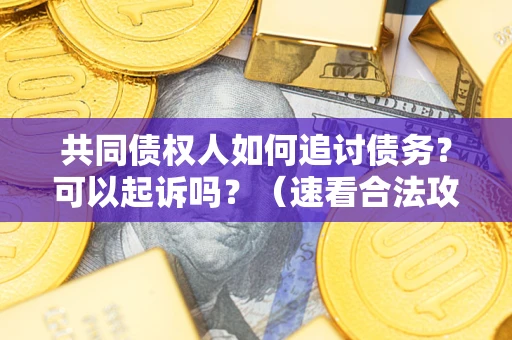 北京共同债权人如何追讨债务？可以起诉吗？（速看合法攻略）